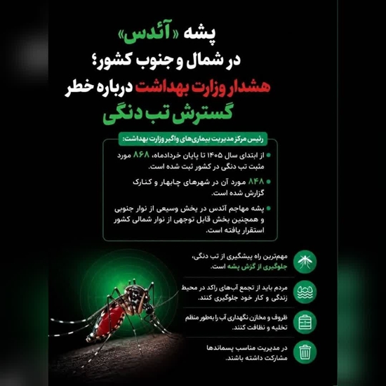 پشه 